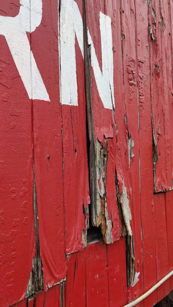 rotten wood sheathing on south side.
