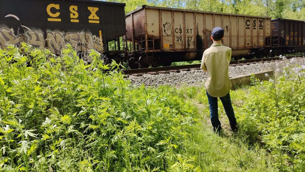 Watching trains