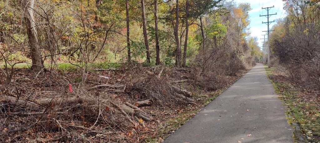 Penn Power's scorched earth damage to paved trail