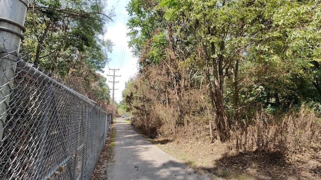 Trail lined with dead bushes, wild flowers and trees all at the hands of Penn Power