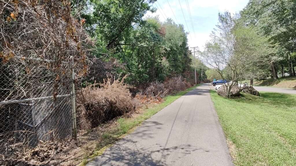 Effects of the herbicide sprayed along our property