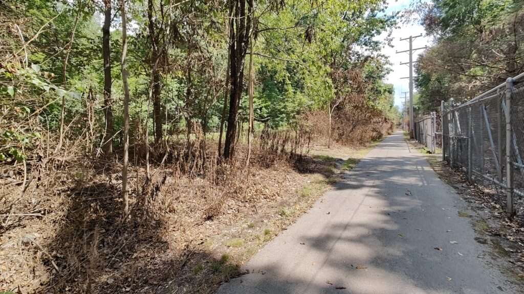 Destruction of the natural beauty along the paved trail