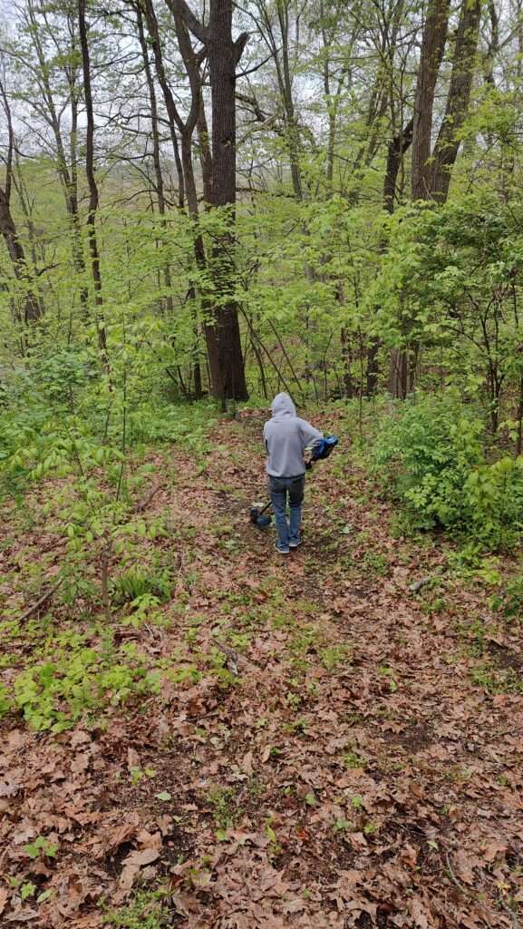 weed trimming